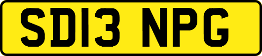 SD13NPG
