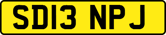 SD13NPJ