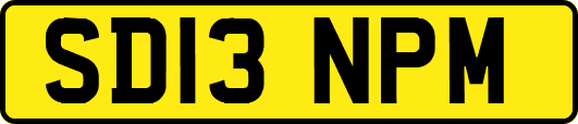 SD13NPM