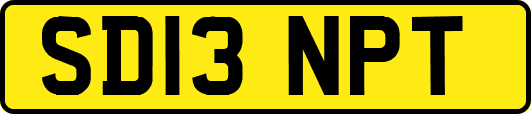 SD13NPT