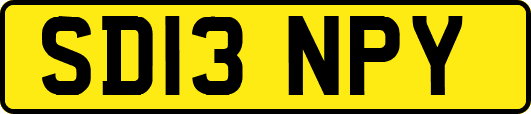 SD13NPY