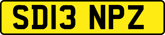 SD13NPZ