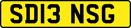 SD13NSG