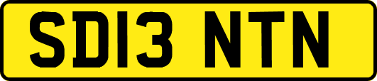SD13NTN