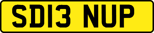 SD13NUP
