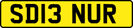 SD13NUR