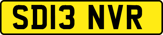 SD13NVR