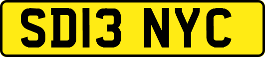 SD13NYC