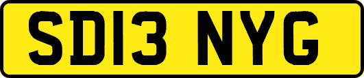 SD13NYG