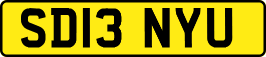 SD13NYU