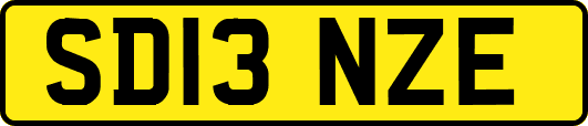 SD13NZE