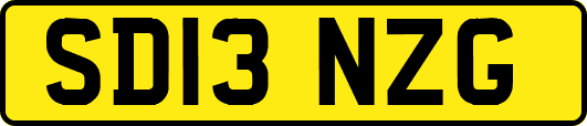 SD13NZG