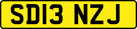 SD13NZJ