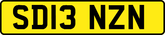 SD13NZN