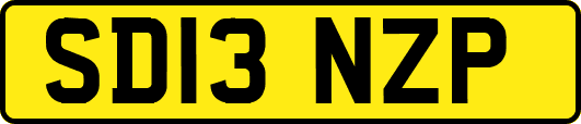SD13NZP
