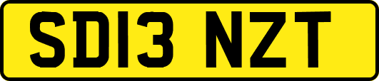 SD13NZT