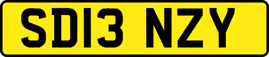 SD13NZY