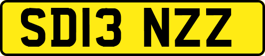 SD13NZZ