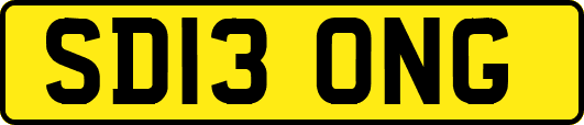SD13ONG