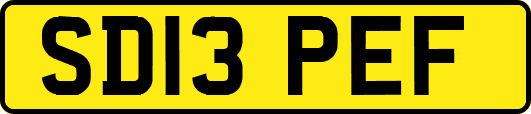 SD13PEF