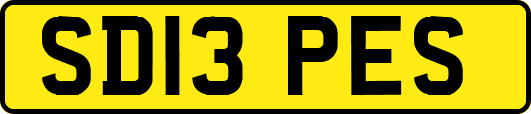 SD13PES