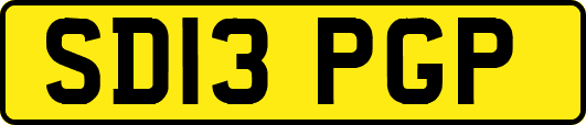 SD13PGP