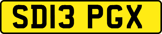 SD13PGX