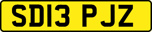 SD13PJZ