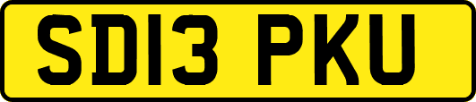 SD13PKU