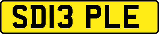 SD13PLE