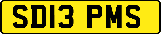 SD13PMS
