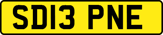 SD13PNE