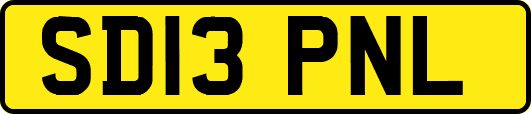 SD13PNL