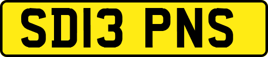 SD13PNS