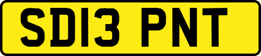 SD13PNT