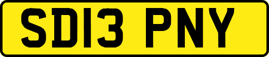 SD13PNY
