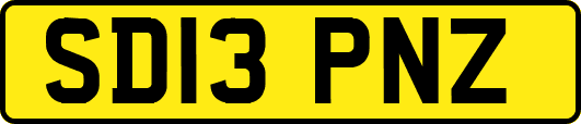 SD13PNZ