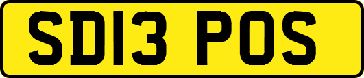 SD13POS