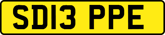 SD13PPE
