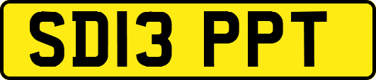 SD13PPT