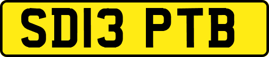 SD13PTB