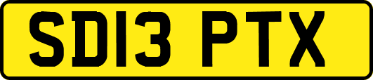 SD13PTX
