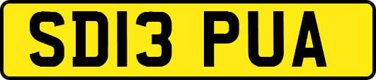 SD13PUA