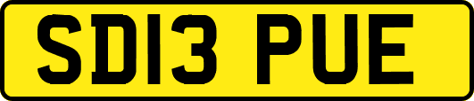 SD13PUE