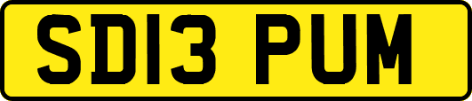 SD13PUM