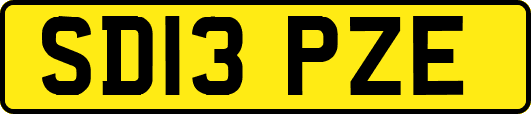 SD13PZE
