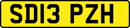 SD13PZH