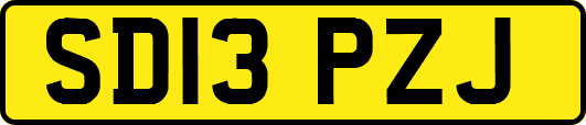 SD13PZJ