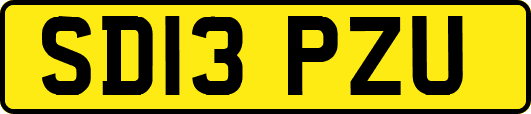 SD13PZU