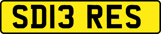 SD13RES